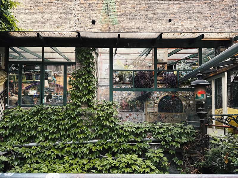 布達佩斯廢墟酒吧szimpla-kert 二樓的綠植與窗戶