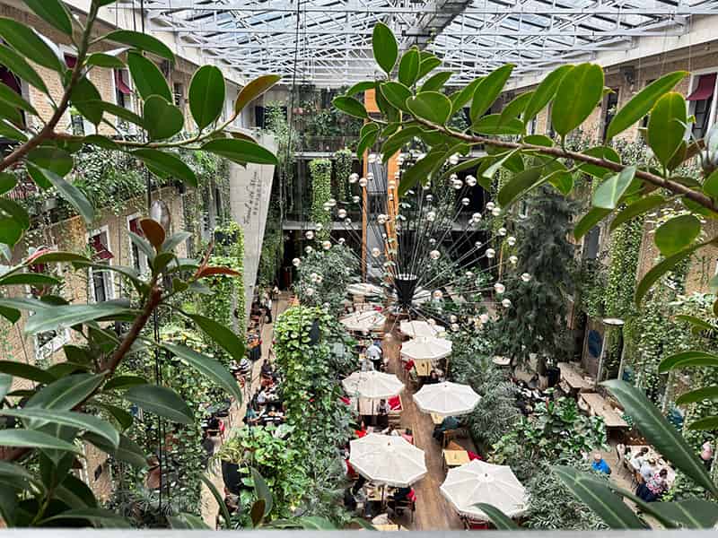 Twentysix budapest 叢林餐廳景觀