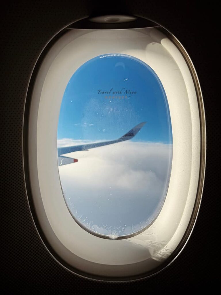 飛機窗景