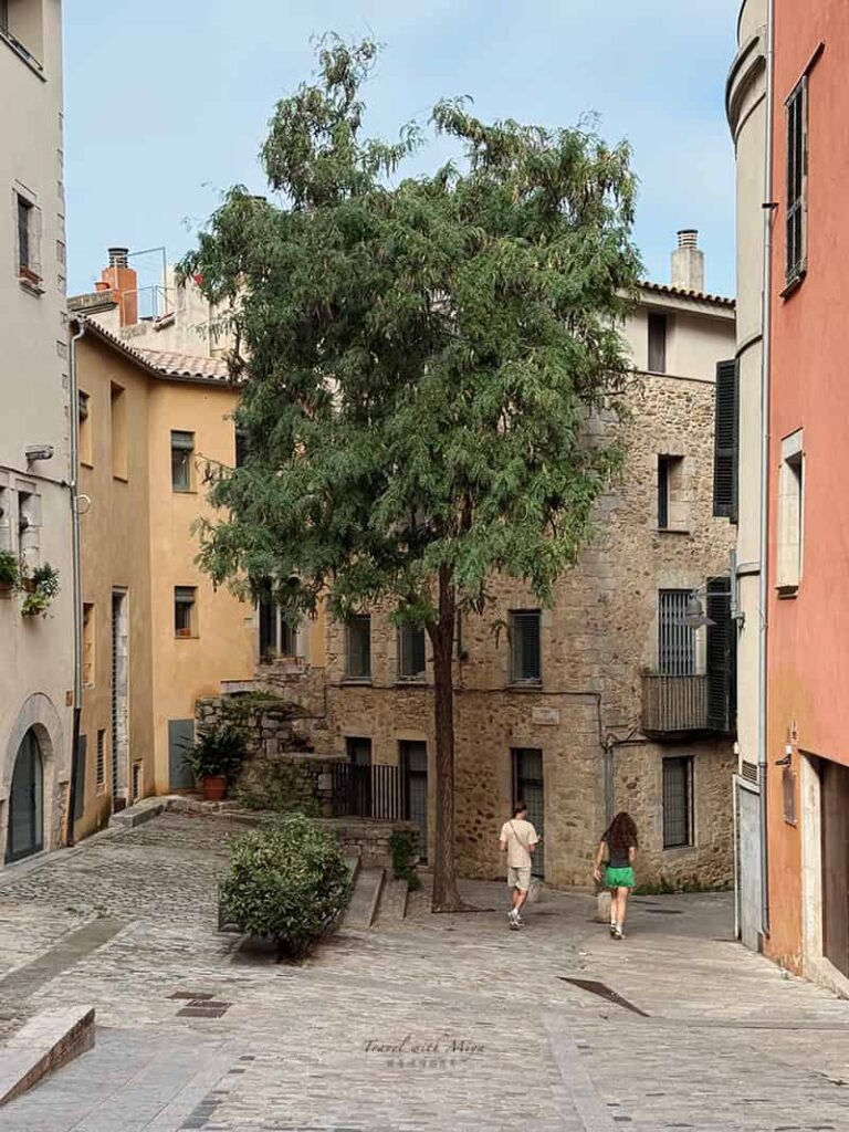 赫羅納巷弄綠樹