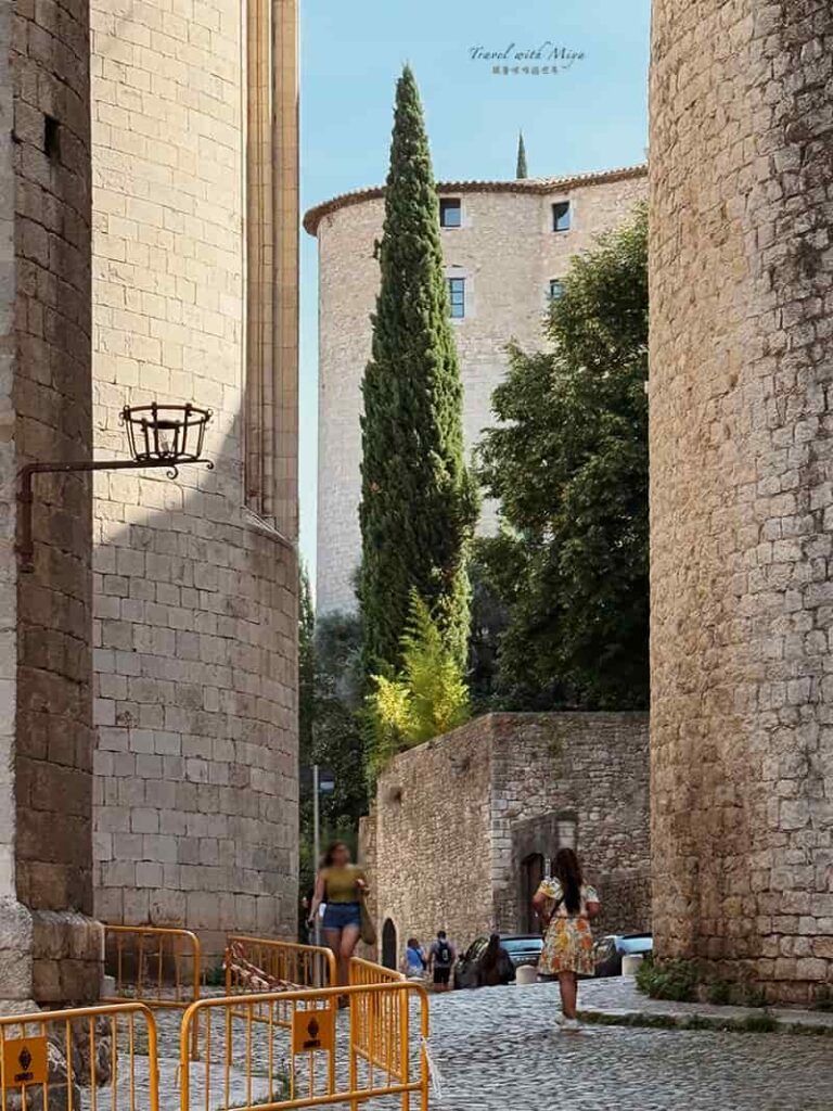 赫羅納大教堂附近巷弄的絲柏樹