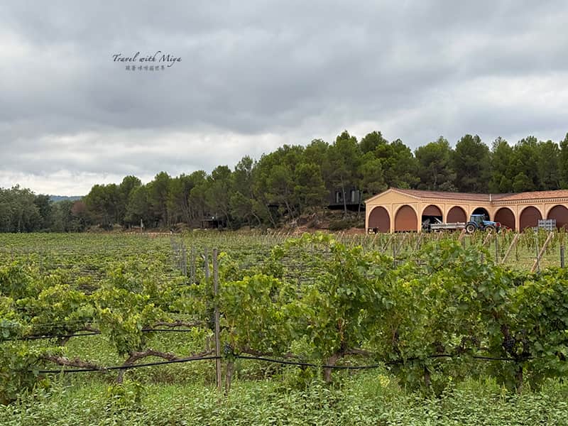 加泰隆尼亞歐耶酒莊 Oller del Mas 葡萄園和工作室