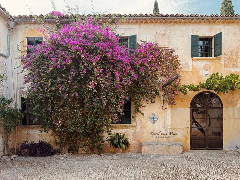 馬略卡島住宿Fangar Agroturismo 誠實商店旁的庭院