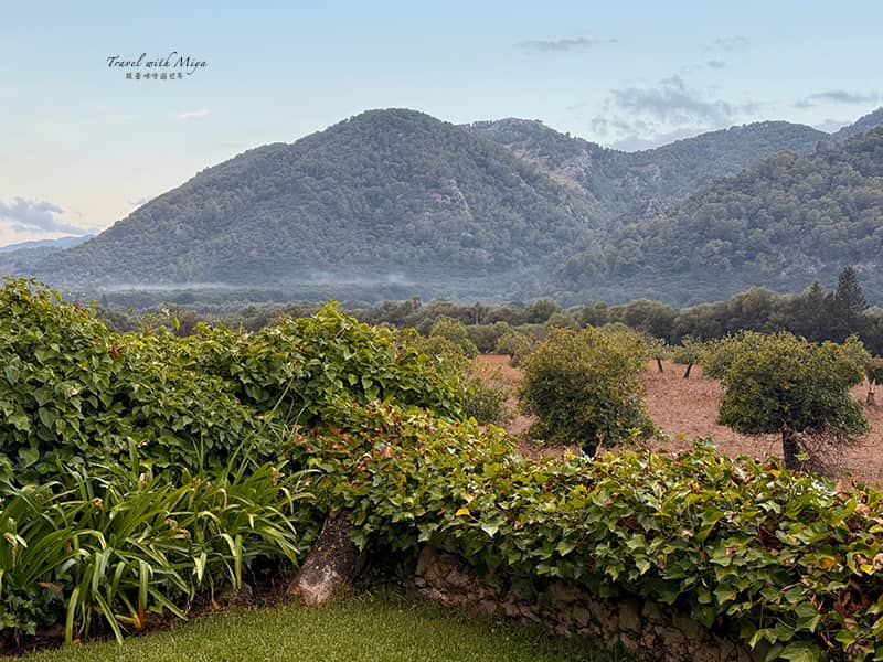 馬略卡島住宿Fangar Agroturismo 旁的山脈
