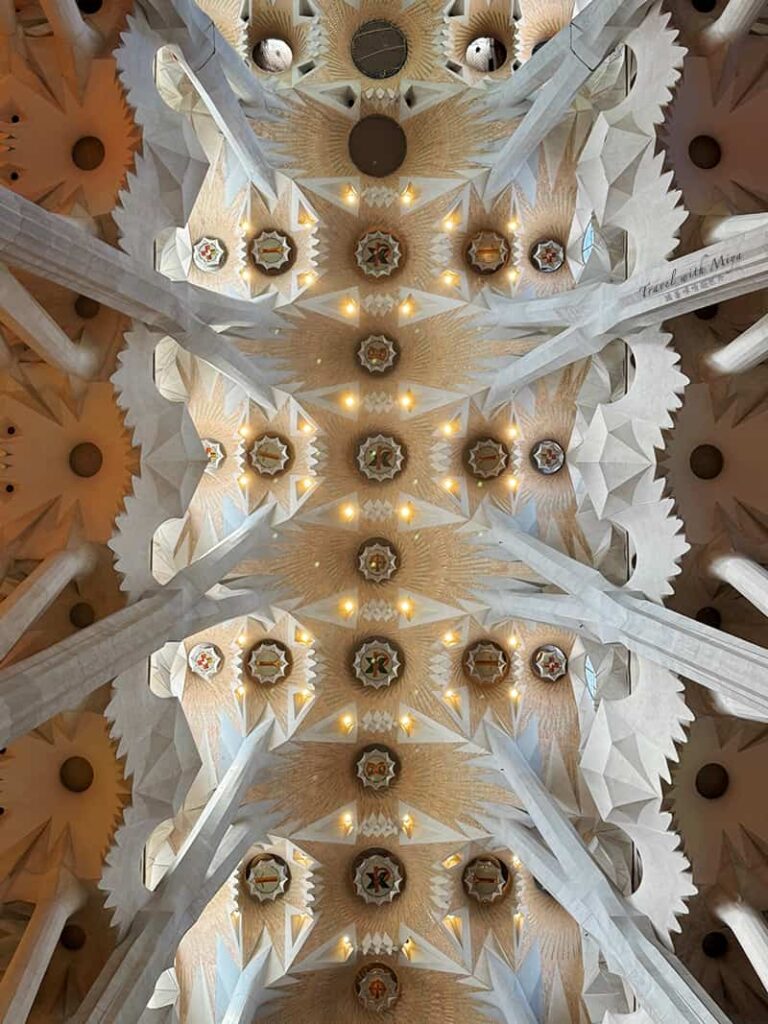 聖家堂教堂內部天花板的樹枝樹葉形體