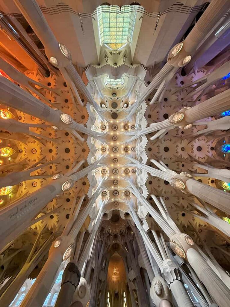 站在聖家堂內抬頭看天花板的建築
