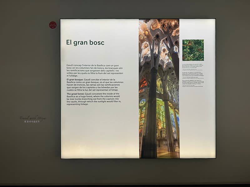 聖家堂博物館的森林意象解說