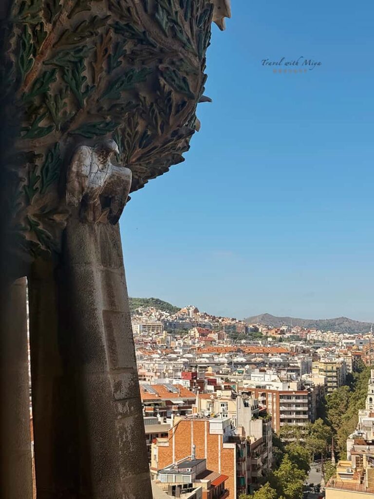 誕生立面登塔近看生命之樹與後方的巴塞隆納市景