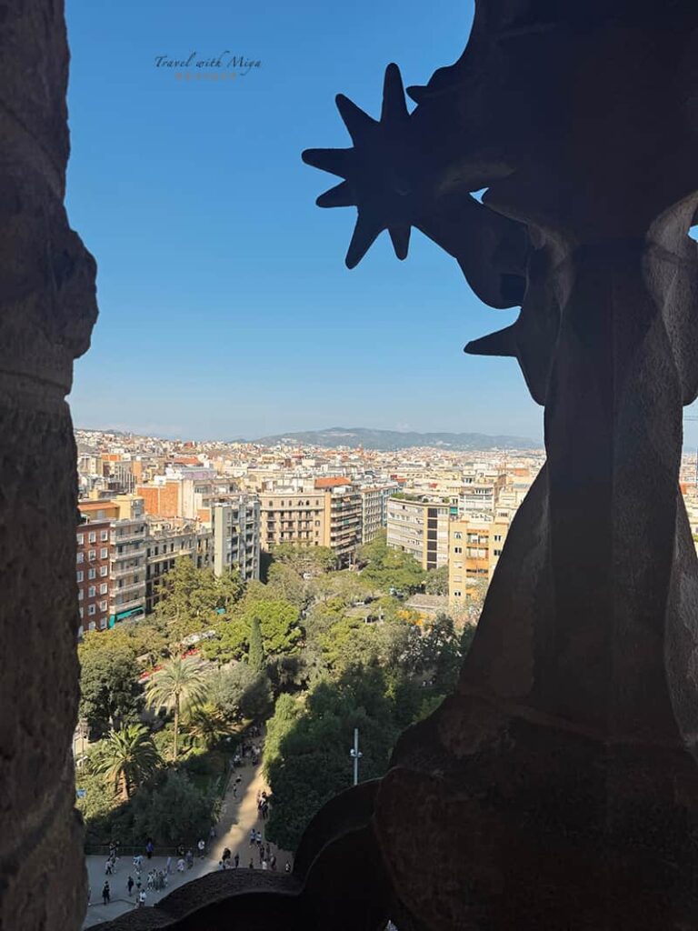 誕生立面登塔看出去的公園綠樹景