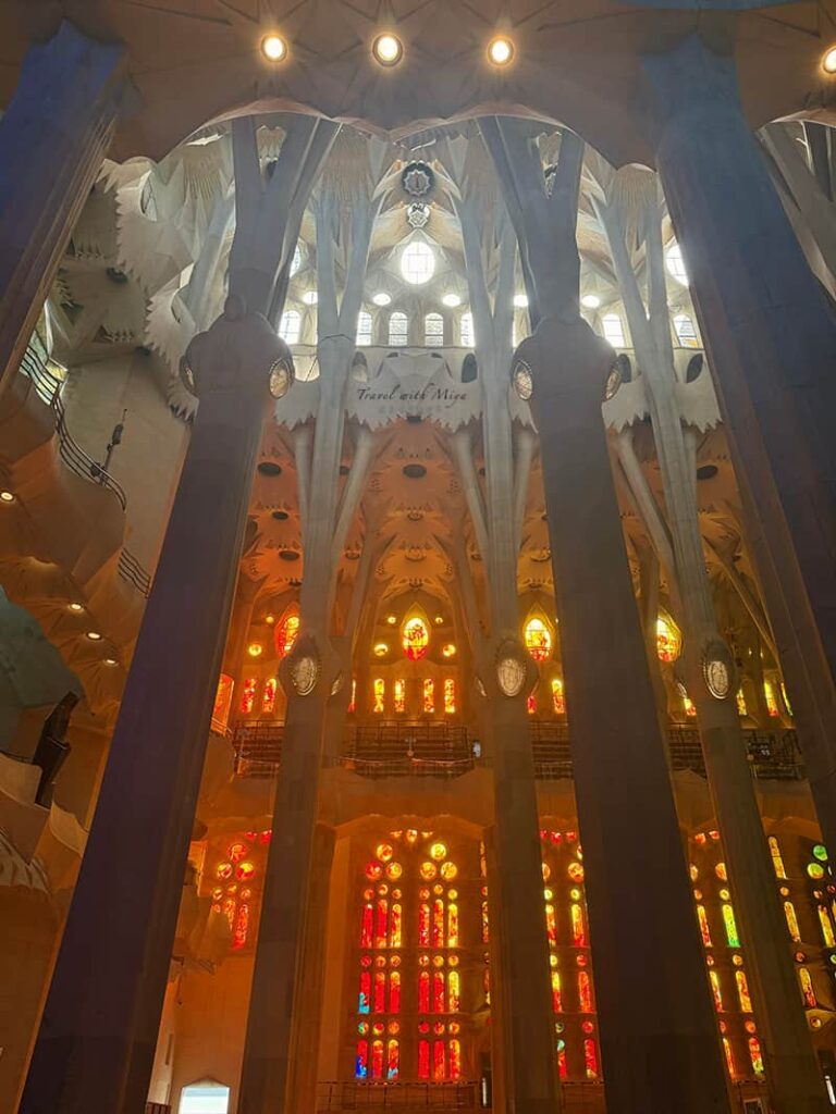 聖家堂教堂內部的暖色調彩繪玻璃窗與樹枝柱子