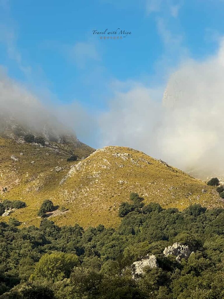 特拉蒙塔納山脈 Serra de Tramuntana 樹叢和藍天