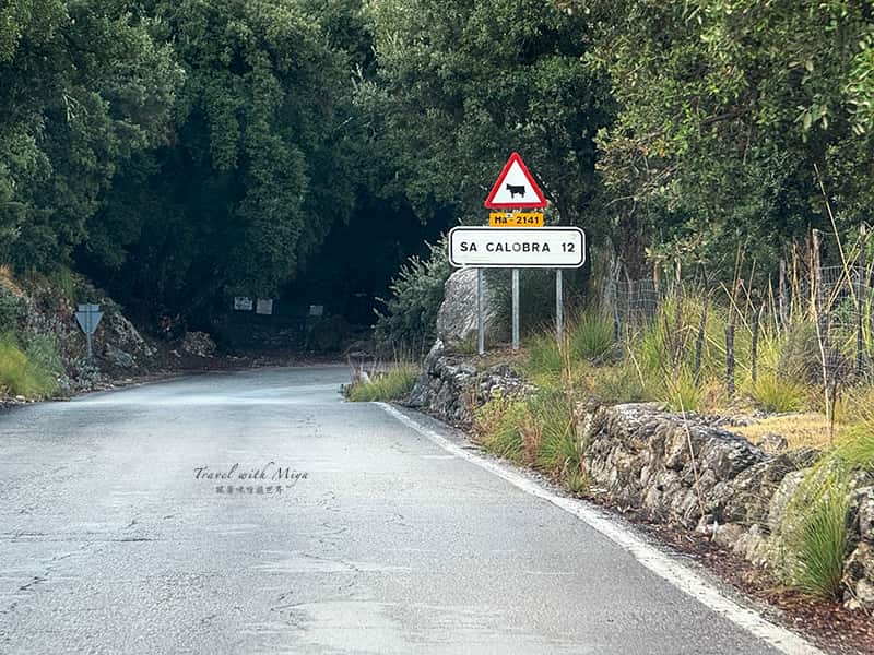 Sa Calobra 路標