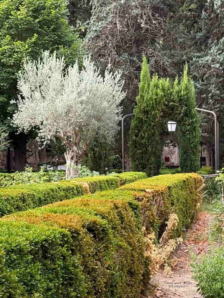 Jardins Rei Joan Carles 花園景