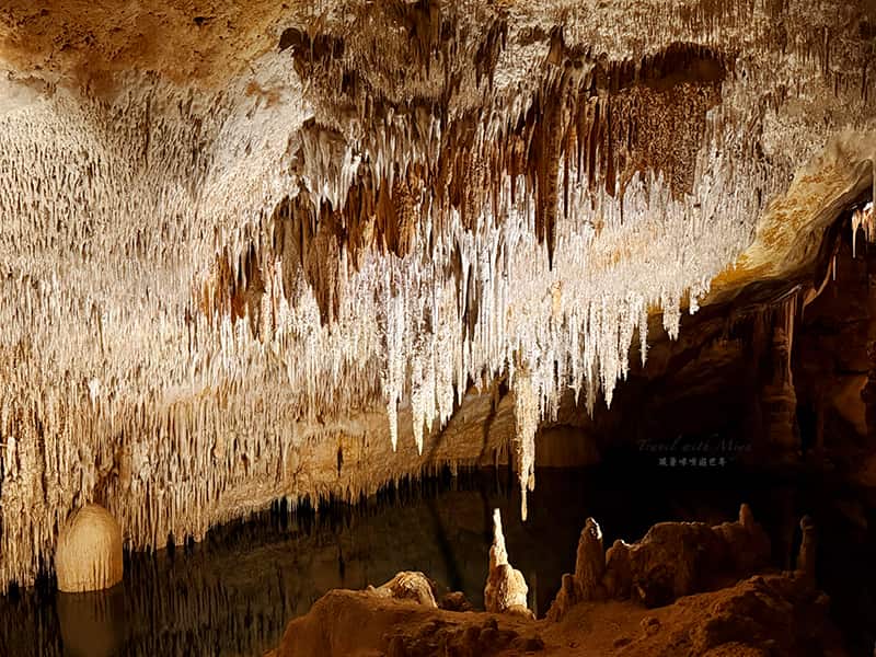 龍洞 Drach Caves 岩壁上的鐘乳石