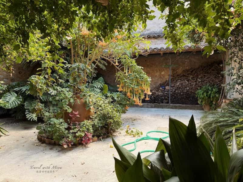 Sóller 索列爾百年橄欖莊園 Can Det 庭院