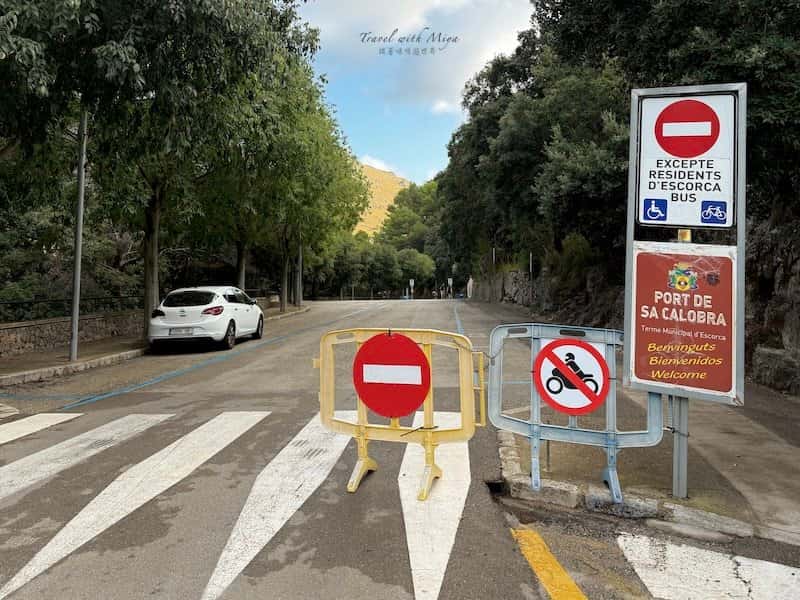 藍線付費停車格
